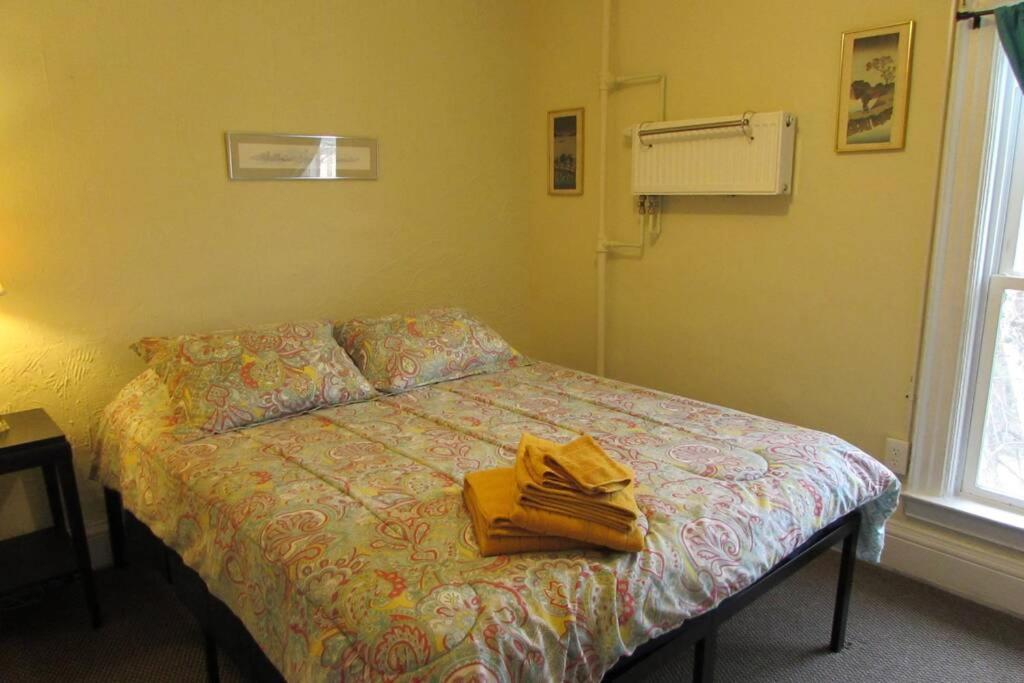 Great Gorge Guesthouse - Walk To The Falls, The Casino And All Downtown Restaurants - Across From The Aquarium 尼亚加拉瀑布 外观 照片