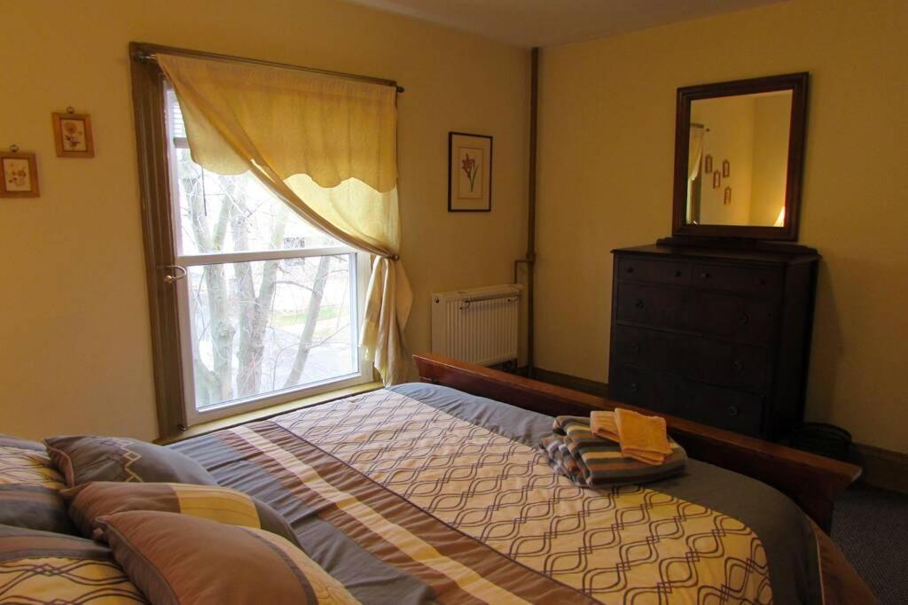 Great Gorge Guesthouse - Walk To The Falls, The Casino And All Downtown Restaurants - Across From The Aquarium 尼亚加拉瀑布 外观 照片